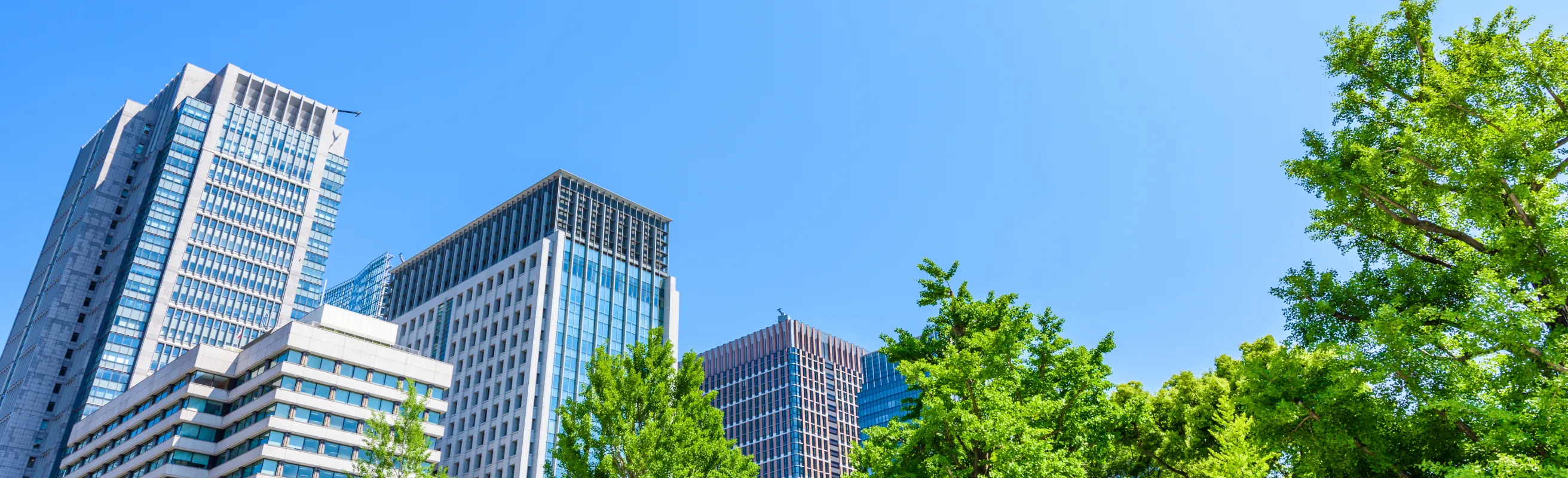 並んだビルと木々が見える景色